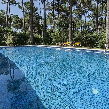 Tojo Prata - Spacious And Pleasant 6 Bedroom For 14 People With Garden And Private Pool Βίλα Lisboa